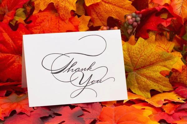 Děkujeme Pohlednice Podzimními Listy Pro Vaši Zprávu Podzimním Ocenění — Stock fotografie