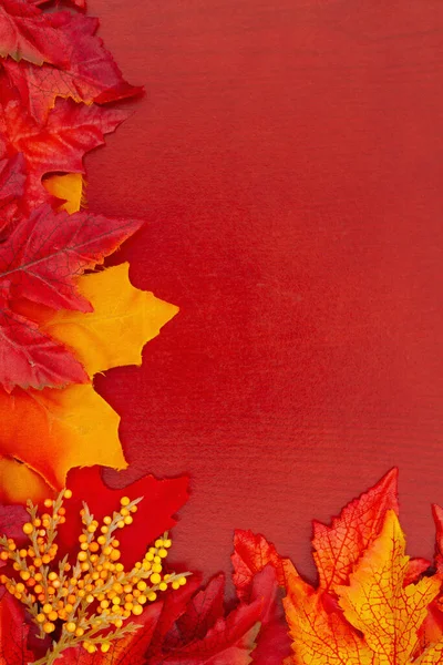 Осенние Листья Фоне Леса Вашего Сезонного Сообщения — стоковое фото