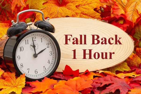 アラームクロックとフォールバック1時間のサインと秋の葉 — ストック写真