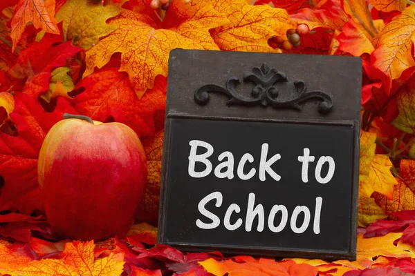 Back School Message Chalkboard Fall Leaves Apple — Stock Photo, Image