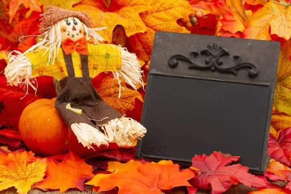 Prázdná Tabule Podzimními Listy Strašákem Pro Vaše Podzimní Nebo Podzimní — Stock fotografie