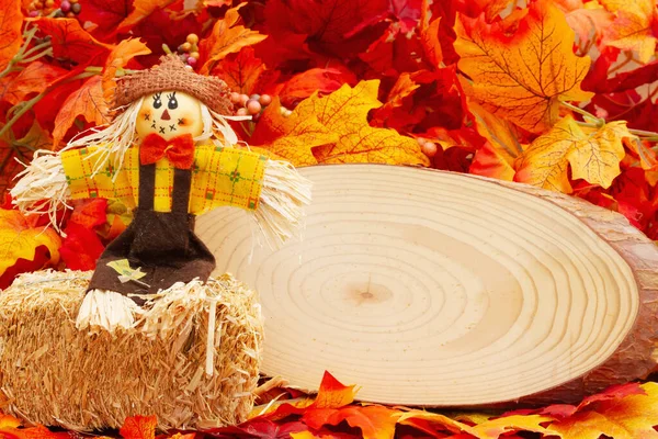 Prázdný Dřevěný Nápis Strašákem Podzimní Listí Pro Podzimní Časovou Zprávu — Stock fotografie