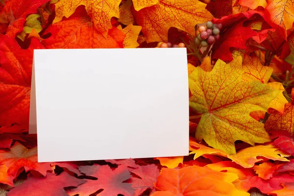 秋天或秋天送信时 用落叶的空白贺卡 — 图库照片