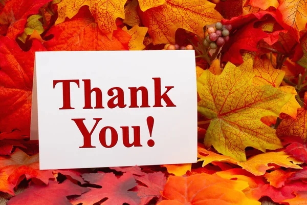 Dziękuję Pocztówka Jesiennymi Liśćmi Wiadomość Jesiennej Wdzięczności Obrazek Stockowy
