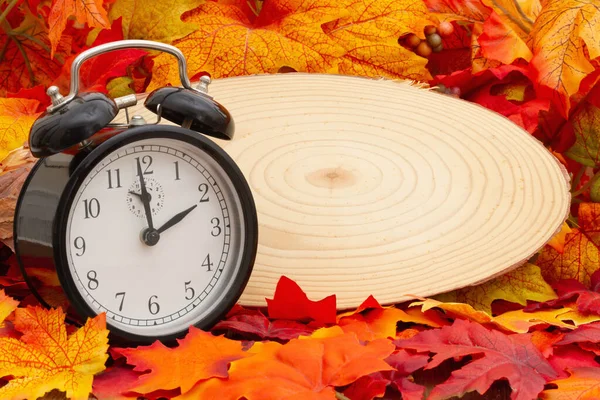 目覚まし時計付きの空白の木のサインと秋の葉あなたの時間の変更や秋の時間のメッセージ — ストック写真