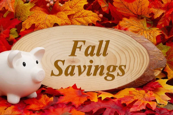 带小猪和落叶的木材标牌上的秋季储蓄信息 — 图库照片