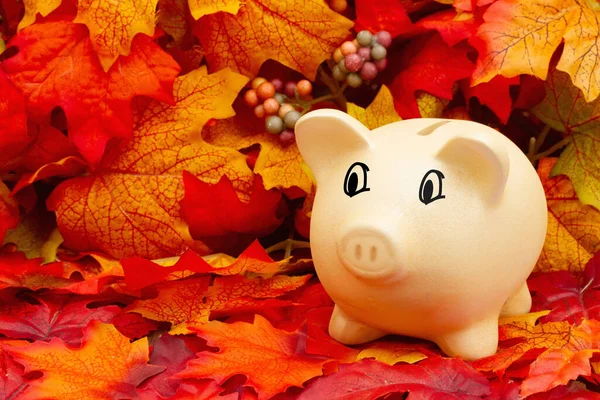 Herbstsparkasse Mit Sparschwein Und Orangefarbenen Und Roten Herbstblättern — Stockfoto