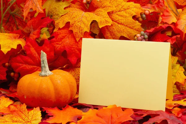 有落叶和南瓜的空白贺卡 以传达秋天或秋天的信息 — 图库照片