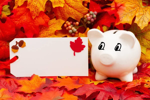 あなたの秋の貯蓄メッセージのための貯金箱と秋の葉を持つ空白のギフトタグ — ストック写真