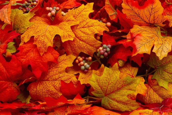 Jesienne Liście Tła Jesień Lub Wiadomość Sezonową — Zdjęcie stockowe