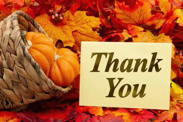 Děkuji Vám Pohlednice Rohem Hojnosti Dýně Podzimní Listí — Stock fotografie