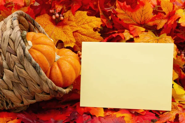 秋天叶子上有核桃体和南瓜的空白贺卡 用来表达秋天或季节的信息 — 图库照片