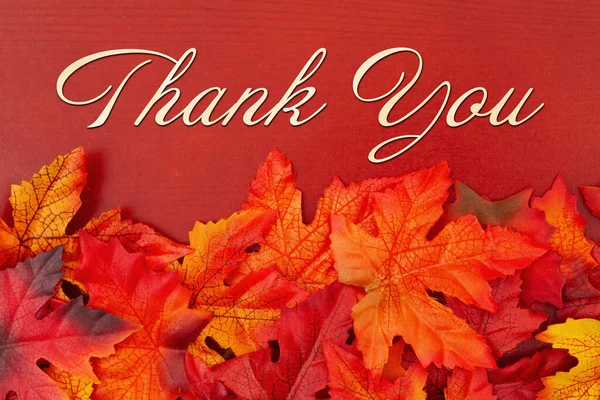 秋の季節の挨拶のために木の葉でメッセージをありがとうございました — ストック写真