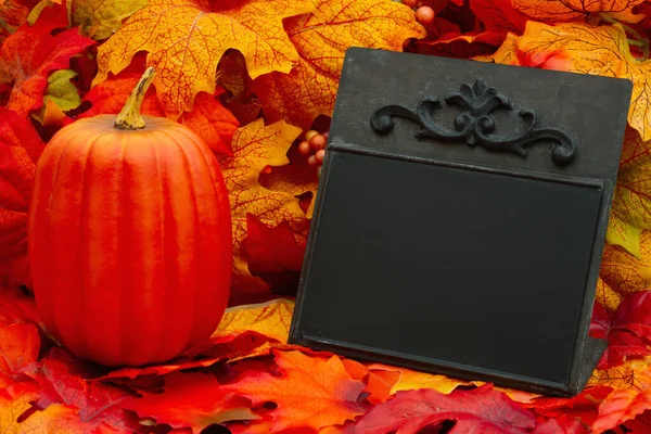 カボチャとあなたの秋の時間のメッセージのための紅葉と空白の黒板の看板 — ストック写真