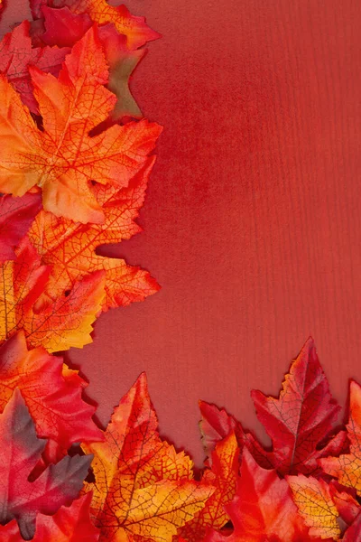 Осіннє Листя Дереві Осінній Фон Вашого Сезонного Повідомлення — стокове фото