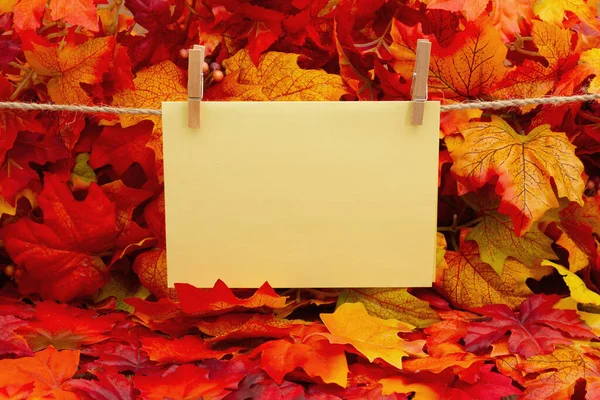 Cartão Saudação Branco Com Folhas Outono Para Sua Queda Mensagem — Fotografia de Stock