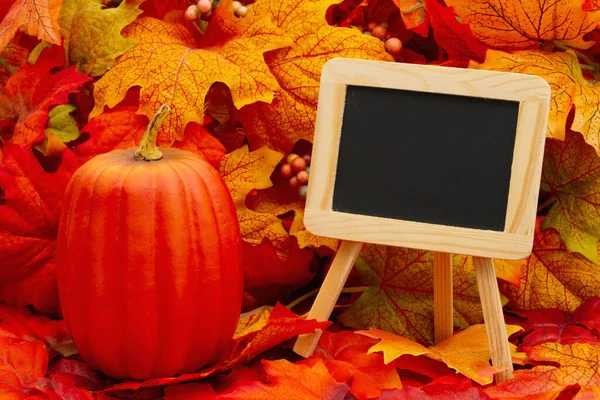 stock image Blank chalkboard sign with a pumpkin and fall leaves for your autumn time message