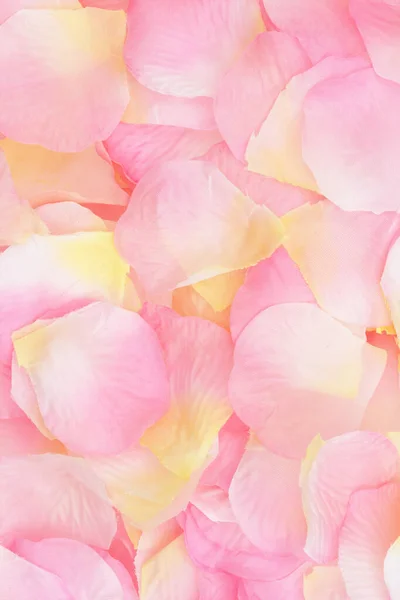 Rosafarbene Und Gelbe Rosenblätter Als Hintergrund Für Ihre Valentins Oder — Stockfoto