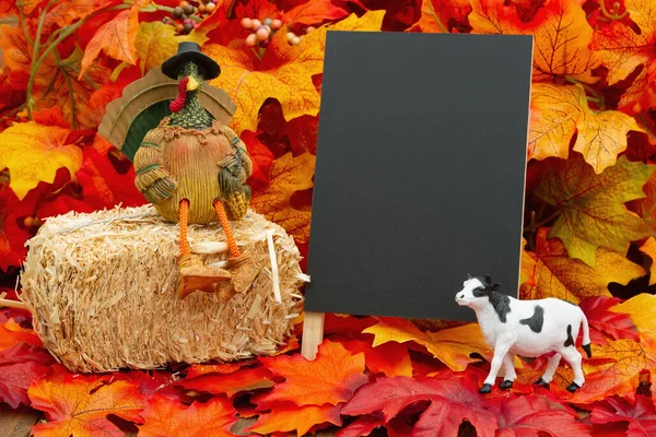 Κενό Chalkboard Υπογράψει Μια Γαλοπούλα Μια Κολοκύθα Και Φύλλα Πτώση — Φωτογραφία Αρχείου