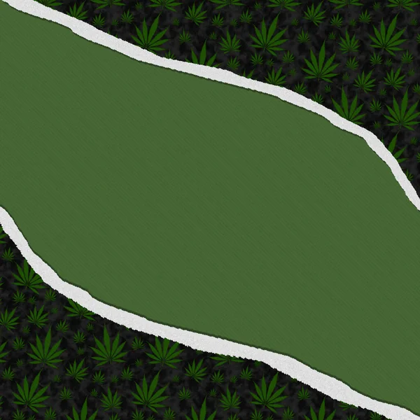 Weed Background Cannabis Grunge Green Rip Border Copy Space Your — Φωτογραφία Αρχείου