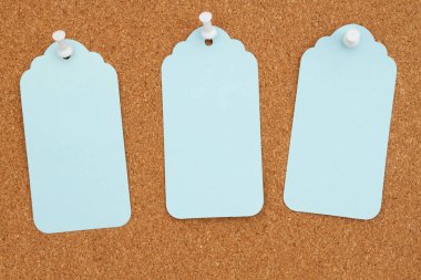 Kahverengi mantar mantar 3 mavi hediye etiketi ve itme iğnesi modeli