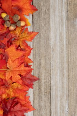 Sonbahar mevsimlik mesajınız için yapraklar ve meşe palamutları eskimiş ahşap arka planda