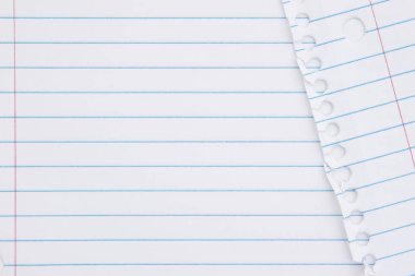 Okul ve eğitim temaları için gevşek sayfa arka planı yönetti