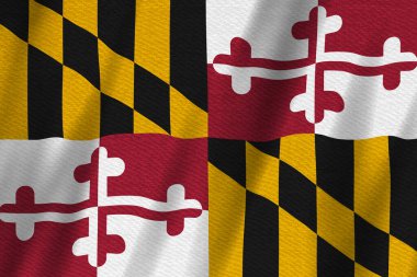 Maryland bayrağı eyalet olaylarıyla ilgili mesajınız için arka planda sallanıyor 