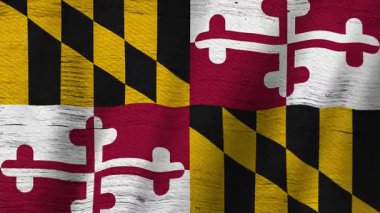 Maryland grunge bayrağı Marylander olaylarıyla ilgili mesajınız için kusursuz bir döngü ile sallanıyor 