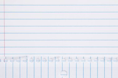 Okul ve eğitim temaları için gevşek sayfa arka planı yönetti