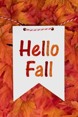 Merhaba, sonbahar serin sezonunu karşılamak için kırmızı ve turuncu sonbahar yapraklı sonbahar flaması.