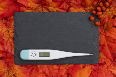 Soğuk algınlığı ve grip mevsimi için yapraklı termometreyle boş karatahta işareti