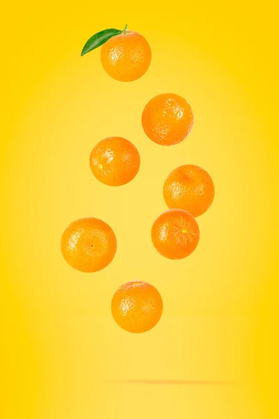 Falling mandarin fruits. Seven flying whole tangerines on colored table with clipping path as package design element and advertising. Full depth of field.