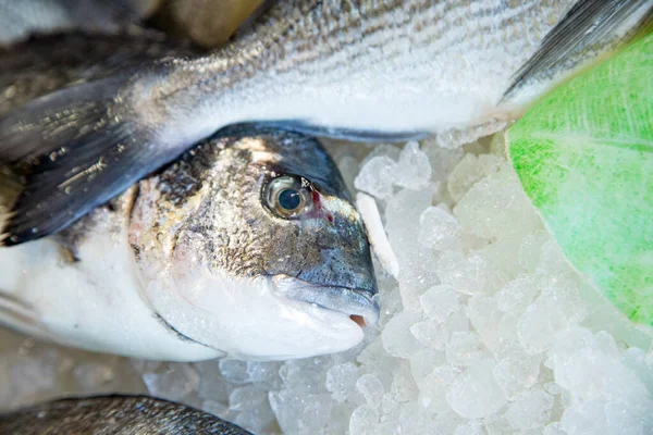 stock image Top view of fresh fish on a fishmongers stall. Gourmet sea healthy food.