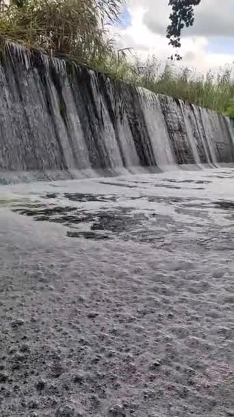 Річка Посеред Прекрасного Каньйону Висока Якість Кадрів Влітку — стокове відео