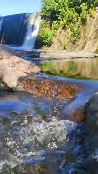 在美丽的峡谷中央的一条河 高品质高清镜头夏季 — 图库视频影像
