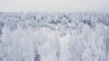 Bulutlu bir günde, kırağı üstünde uçmak.