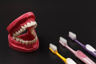 Siyah arkaplanda insan çene düzeni ve diş fırçaları.