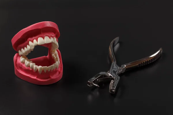 Layout Human Jaw Dental Hole Punch Black Background Medical Tools — Stock Photo, Image
