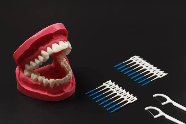 Layout Human Jaw Silicone Floss Toothpicks Interdental Toothpick Brushes Black — Stock Photo, Image
