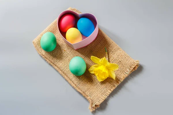 Цветные Пасхальные Яйца Подарочной Коробке Бутон Цветка Нарцисса Мешке Мешка — стоковое фото