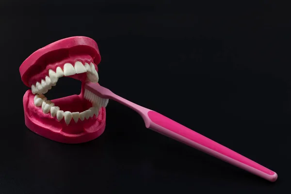 Human Jaw Layout Toothbrush Black Background — Stock Photo, Image