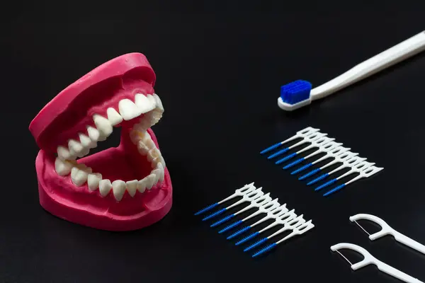 Układ Szczęki Ludzkiej Silikonowymi Wykałaczkami Szczoteczkami Zębów Szczoteczką Zębów Czarnym — Zdjęcie stockowe