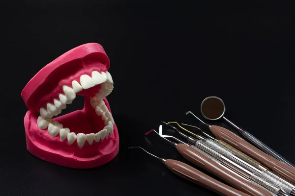 Anordnung Des Menschlichen Kiefers Mit Dem Mundspiegel Und Den Zahnärztlichen — Stockfoto