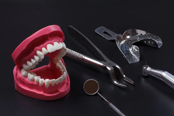 Layout Human Jaw Stainless Steel Dental Impression Tray Dental Pliers — Stock Photo, Image