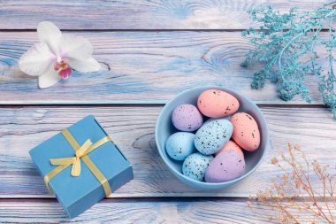 Renkli Paskalya yumurtaları, hediye kutusu ve dekoratif bitkilerle dolu bir orkide tabağı. Üst görünüm.