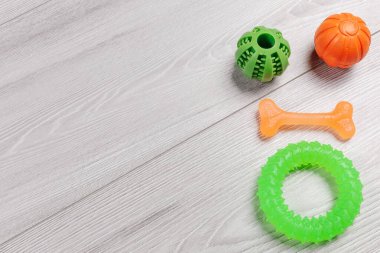 Evcil hayvan malzemeleri ve oyuncaklar. Toplar, lastik yüzük ve yerde çiğnenen kemik gibi oyuncaklar. Üst görünüm.