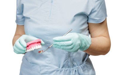 İnsan çene yapısı olan dişçi metal bir aynayla dişleri inceliyor. Paslanmaz çelik diş aynasına odaklan..