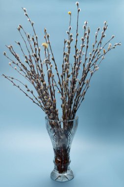 Kristal vazoda söğüt aranjmanı. Tatil ortodoks geleneği.