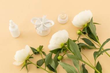 Hediye kutusu, yüz serumu, yüz kremi ve bej arka planda beyaz şakayık çiçekleri. Kadın kozmetik ürünleri. Üst görünüm.